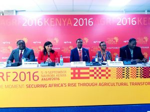 KAAA CEO Lucy Muchoki at the AGRF 2016