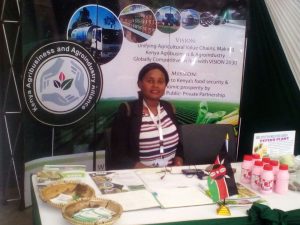 A KAAA stand at the HLM2